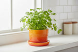 Le Creuset 14cm Stoneware Herb Planter with Tray - Volcanic