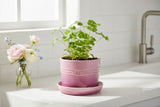 Le Creuset 14cm Stoneware Herb Planter with Tray - Rose Quartz