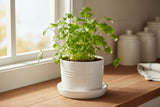 Le Creuset 14cm Stoneware Herb Planter with Tray - Meringue