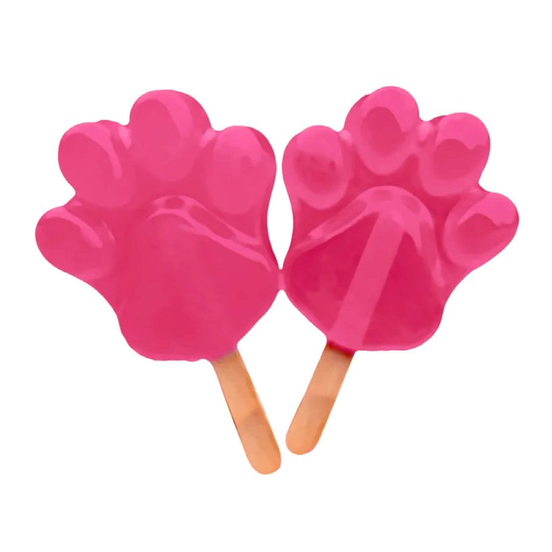 Eddingtons Paw Netto Kids or Pets Silicone Treat or Lolly Mould