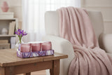 Candlelight Set Of 3 Scented Votive Candles - Crocus & Sweet Orange