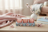 Candlelight Set Of 3 Scented Votive Candles - Cherry Blossom & Sakura