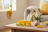Candlelight Set Of 3 Scented Votive Candles - Sweet Lemon & Rosemary