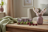Candlelight Set Of 3 Scented Votive Candles - Sour Cherry & Lime