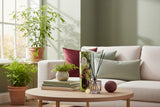 Candlelight 200ml Reed Diffuser - Sour Cherry & Lime