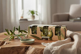 Candlelight Set Of 3 Scented Votive Candles - Olive Vine & Thyme