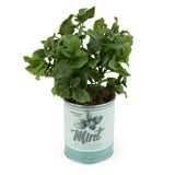 Candlelight Artificial Mint Plant In Tin Can Pot