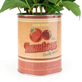 Candlelight Artificial Tomato Plant In Tin Can Pot