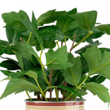 Candlelight Artificial Tomato Plant In Tin Can Pot