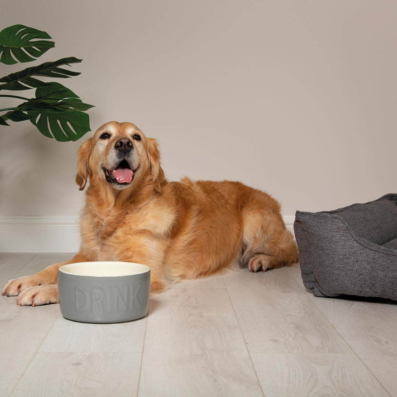 Scruffs Classic 20cm Stoneware Pet Water Bowl - Grey