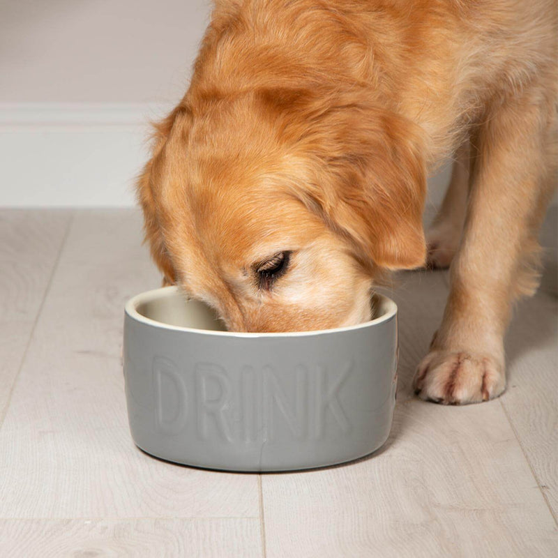 Scruffs Classic 20cm Stoneware Pet Water Bowl - Grey