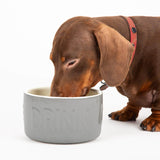 Scruffs Classic 15cm Stoneware Pet Water Bowl - Grey