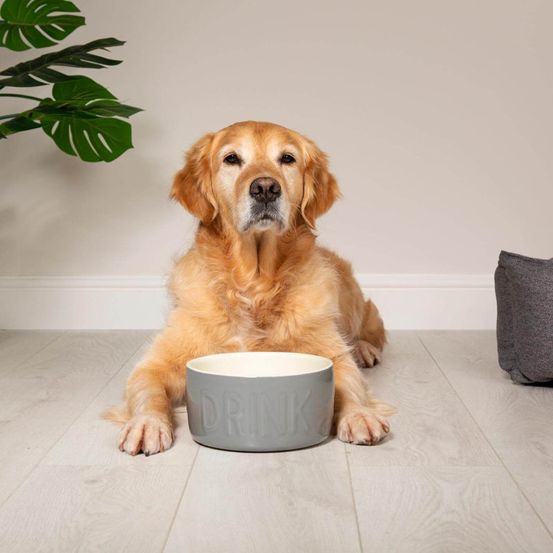Scruffs Classic 15cm Stoneware Pet Water Bowl - Grey