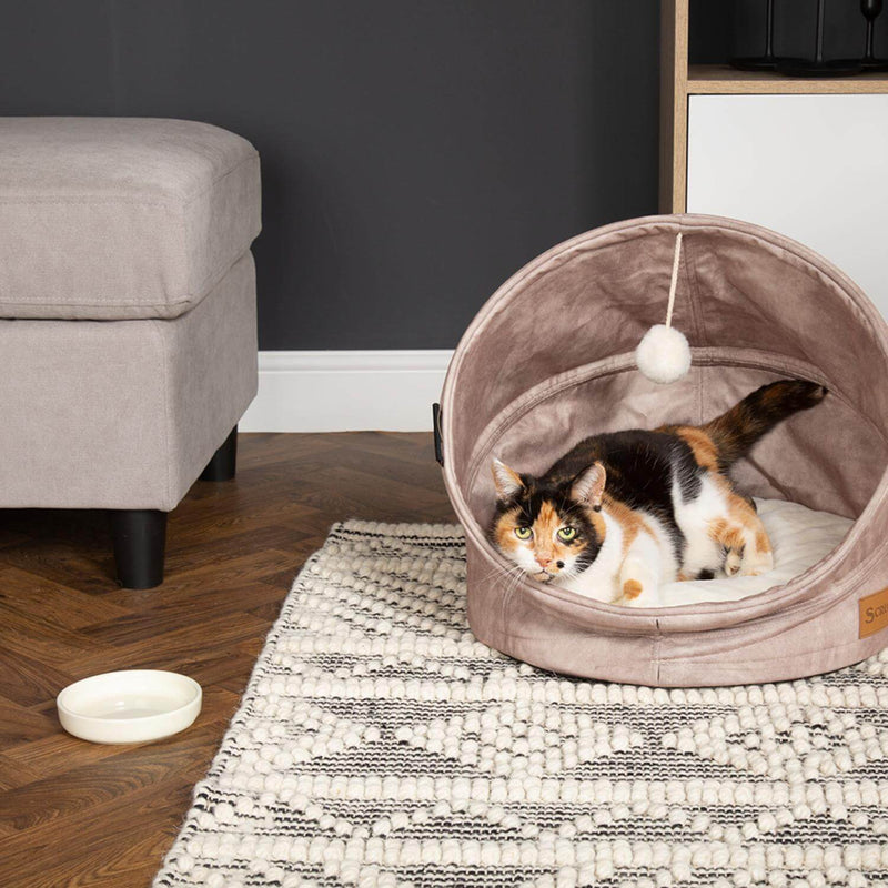 Scruffs Icon 13cm Stoneware Pet Saucer - Cream
