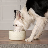 Scruffs Icon 20cm Stoneware Pet Water Bowl - Cream