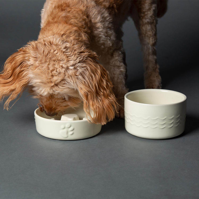 Scruffs Icon 16cm Stoneware Slow Feeder Pet Bowl - Cream