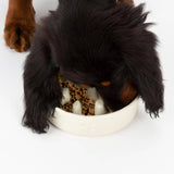 Scruffs Icon 16cm Stoneware Slow Feeder Pet Bowl - Cream