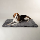 Scruffs Expedition Water Resistant Roll Up Travel Pet Bed - Storm Grey