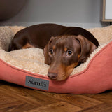 Scruffs Cosy 60cm x 50cm Box Bed - Assorted