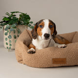 Scruffs Boucle 60cm x 50cm Box Bed - Desert Brown