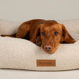 Scruffs Boucle 75cm x 60cm Box Bed - Ivory