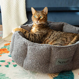Scruffs Boucle 45cm Round Cat Bed - Slate Grey