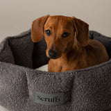 Scruffs Boucle 45cm Round Cat Bed - Slate Grey