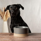Scruffs Scandi 20cm Non Tip Water Bowl - Grey