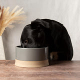 Scruffs Scandi 20cm Non Tip Water Bowl - Grey