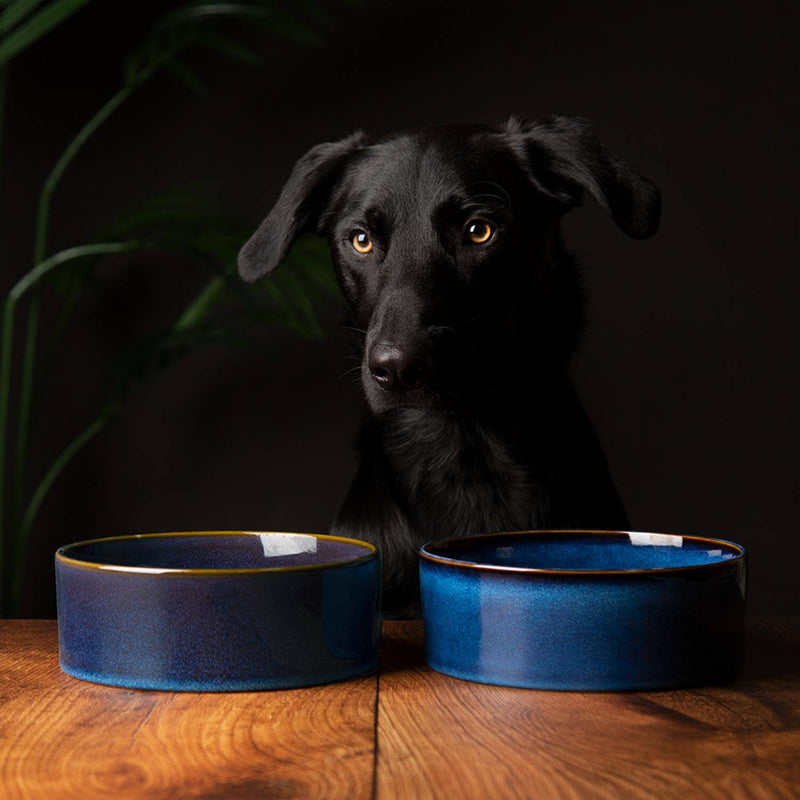 Scruffs Reactive Glaze 19cm Stoneware Food/Water Bowl - Midnight Blue