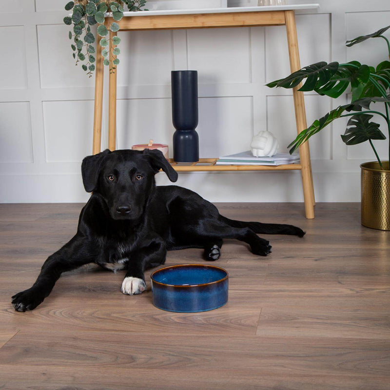 Scruffs Reactive Glaze 19cm Stoneware Food/Water Bowl - Midnight Blue