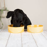 Scruffs Aztec 19cm Stoneware Pet Bowl - Sunflower Yellow