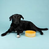 Scruffs Aztec 19cm Stoneware Pet Bowl - Sunflower Yellow