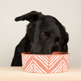Scruffs Aztec 19cm Stoneware Pet Bowl - Terracotta Orange