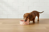 Scruffs Aztec 15cm Stoneware Pet Bowl - Terracotta Orange