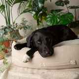 Scruffs Eden 75cm x 60cm 100% Recycled Box Bed - Cream