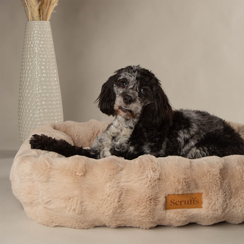 Scruffs Alpine 75cm x 60cm Box Bed - Champagne