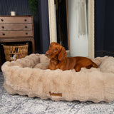 Scruffs Alpine 90cm x 70cm Box Bed - Champagne