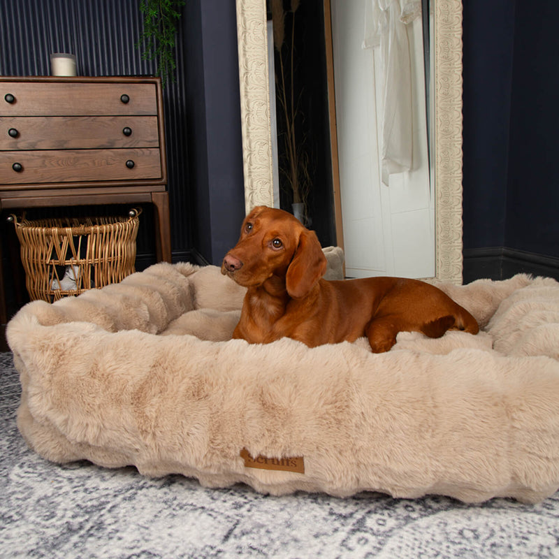 Scruffs Alpine 90cm x 70cm Box Bed - Champagne