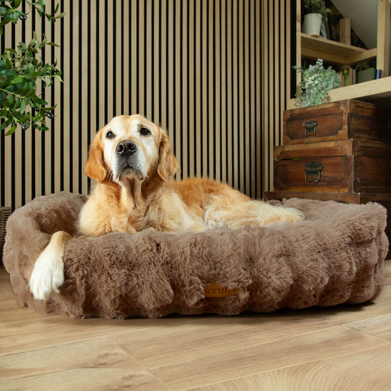 Scruffs Alpine 90cm x 70cm Box Bed - Taupe