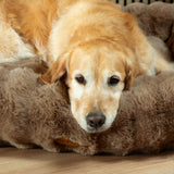 Scruffs Alpine 90cm x 70cm Box Bed - Taupe