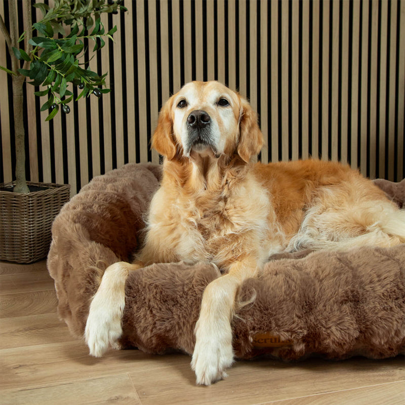 Scruffs Alpine 90cm x 70cm Box Bed - Taupe