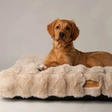 Scruffs Alpine 80cm x 60cm Mattress - Champagne