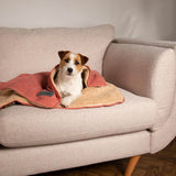 Scruffs Snuggle 110cm x 75cm Pet Blanket - Assorted
