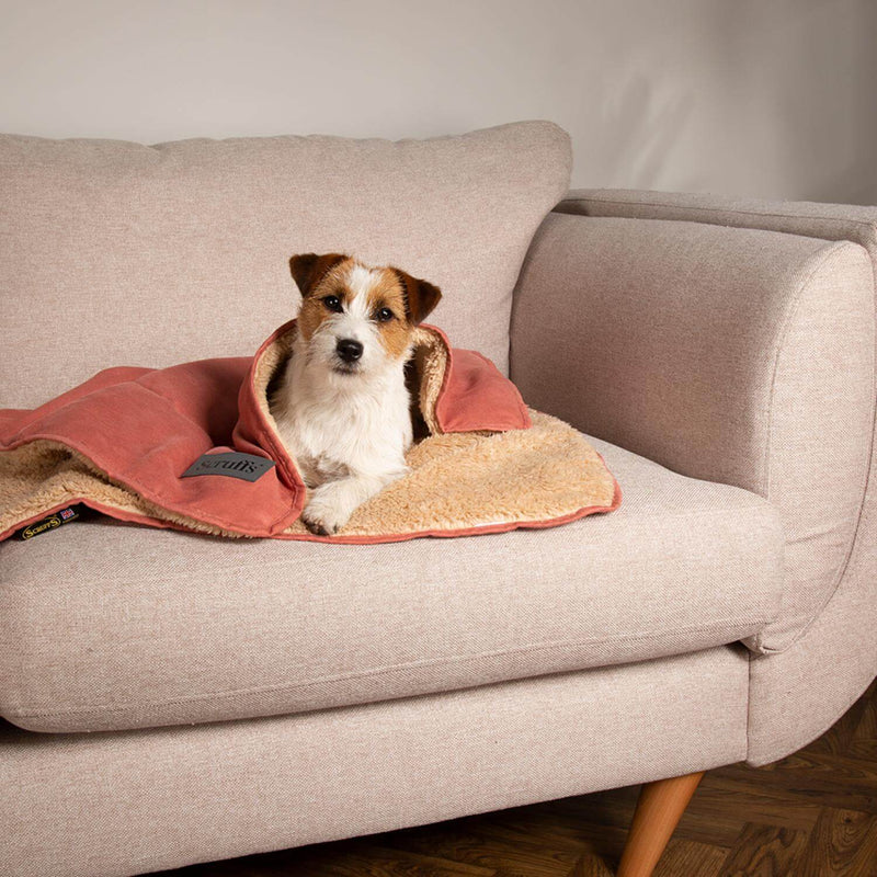 Scruffs Snuggle 110cm x 75cm Pet Blanket - Assorted