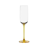 Anton Studio Designs 4-Piece 200ml Champagne Flutes - Gala