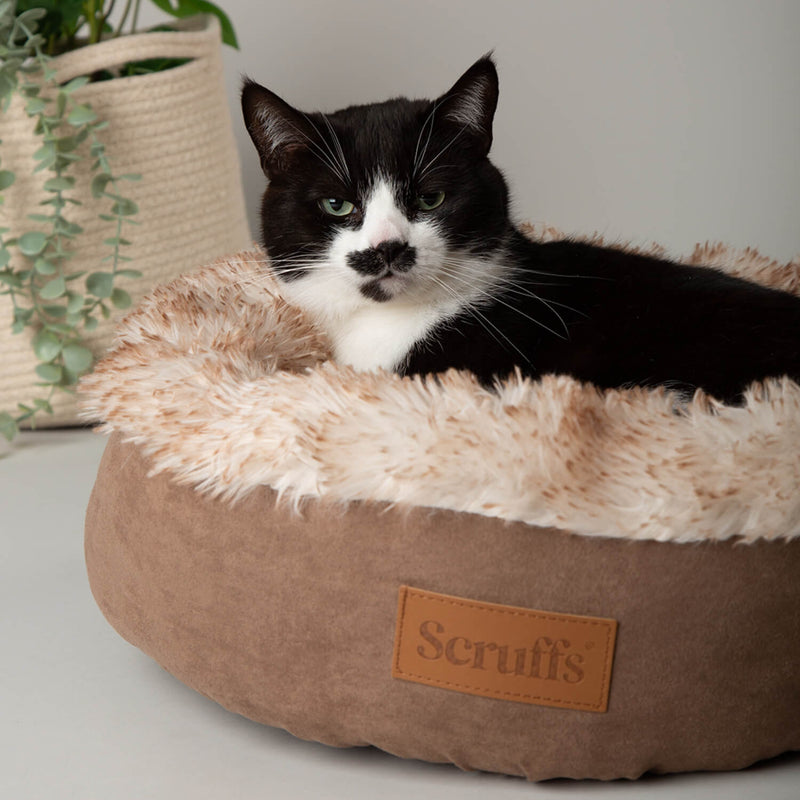 Scruffs Slumber Cat Ring Bed - Assorted Colours