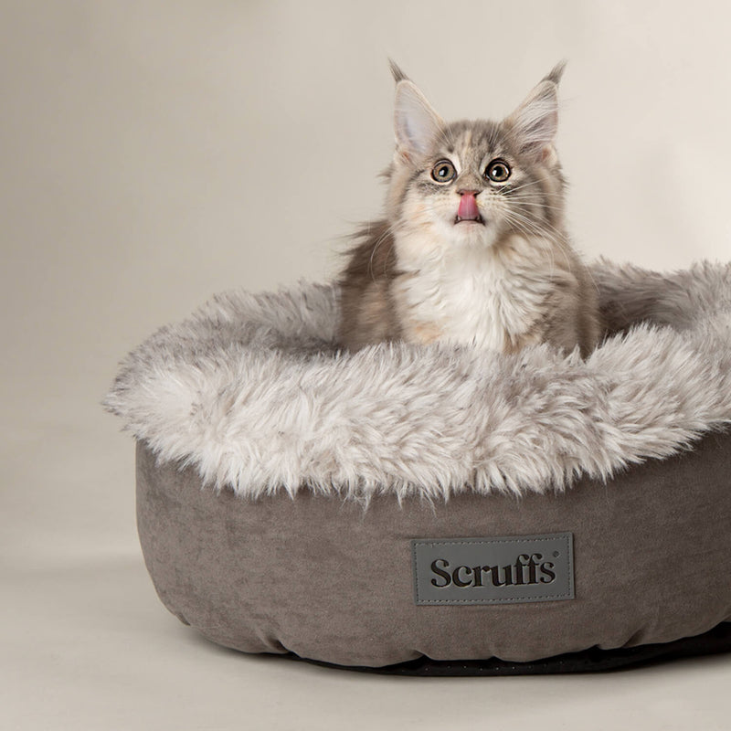 Scruffs Slumber Cat Ring Bed - Assorted Colours