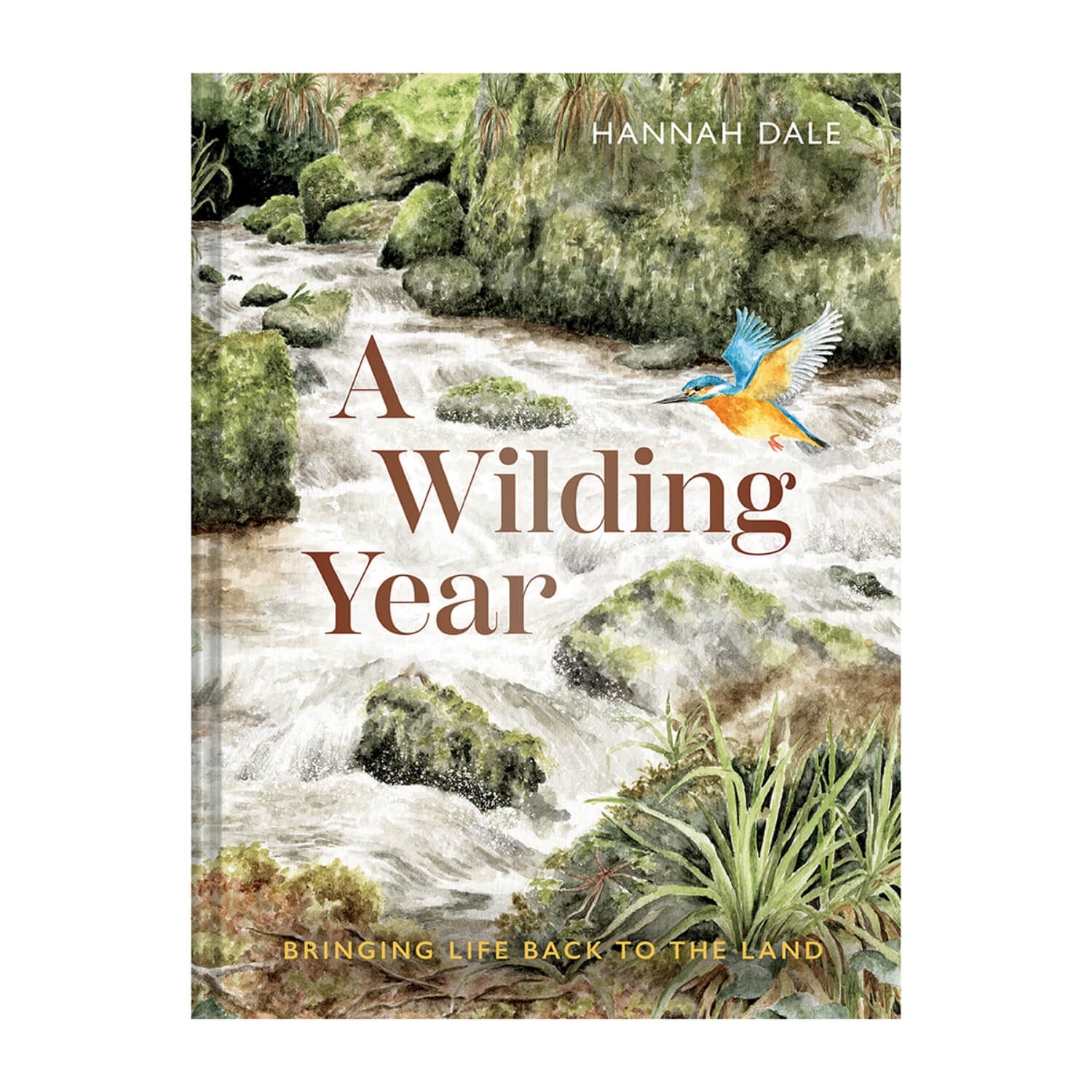 Buy A Wilding Year | Bringing life back to the land - by Hannah Dale ...