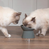 Scruffs Classic Raised Cat Feeder Bowl - Grey
